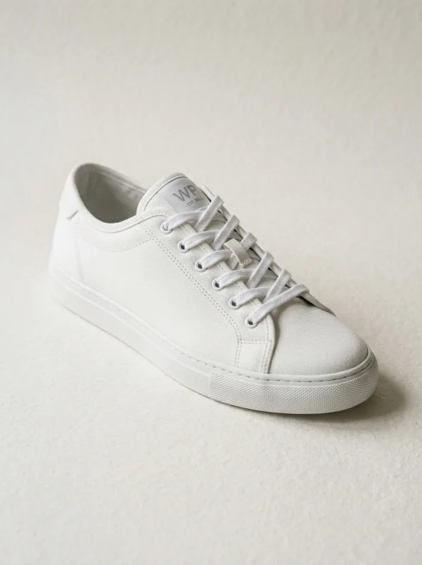 Canvas sneaker product shot